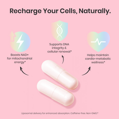 LordSay®  LIPOSOMAL Nicotinamide Riboside LordSay®  LIPOSOMAL Nicotinamide Riboside